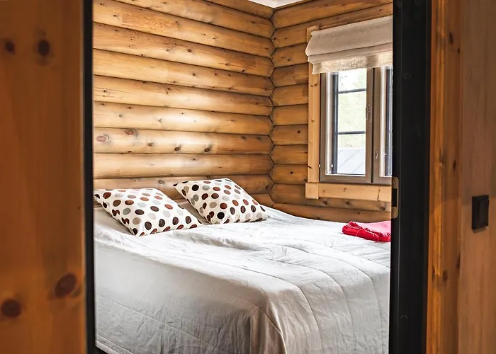 Hullun Mustikka Леви