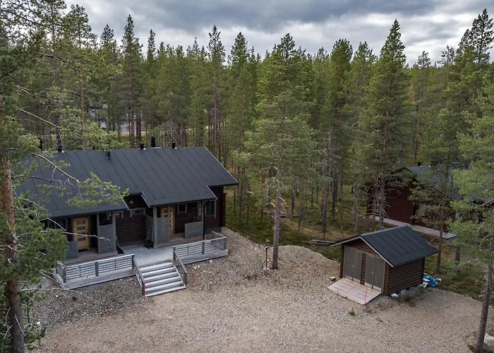 Hullun Mustikka * Леви